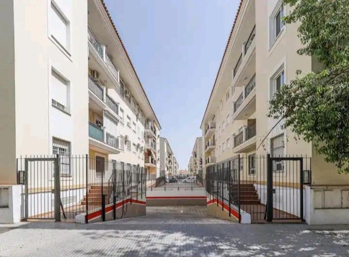 Apartamento Con Patio Y Piscina Cerca De Sevilla La Algaba المظهر الخارجي الصورة